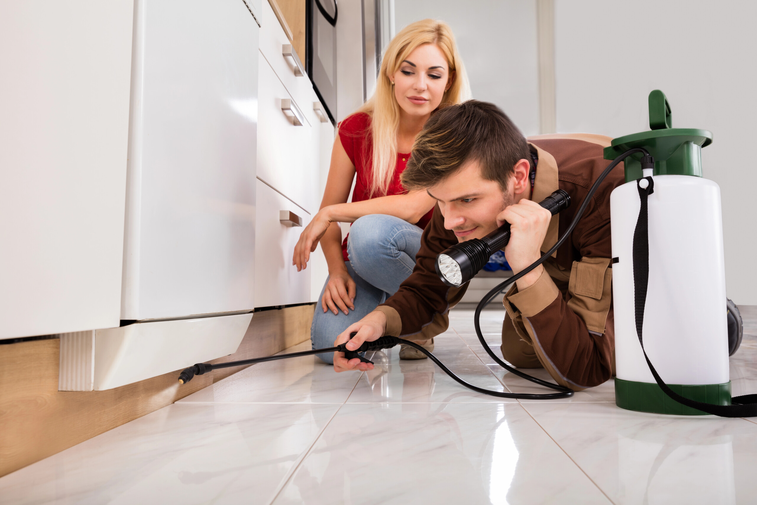 Natural & Eco-Friendly Roach Control