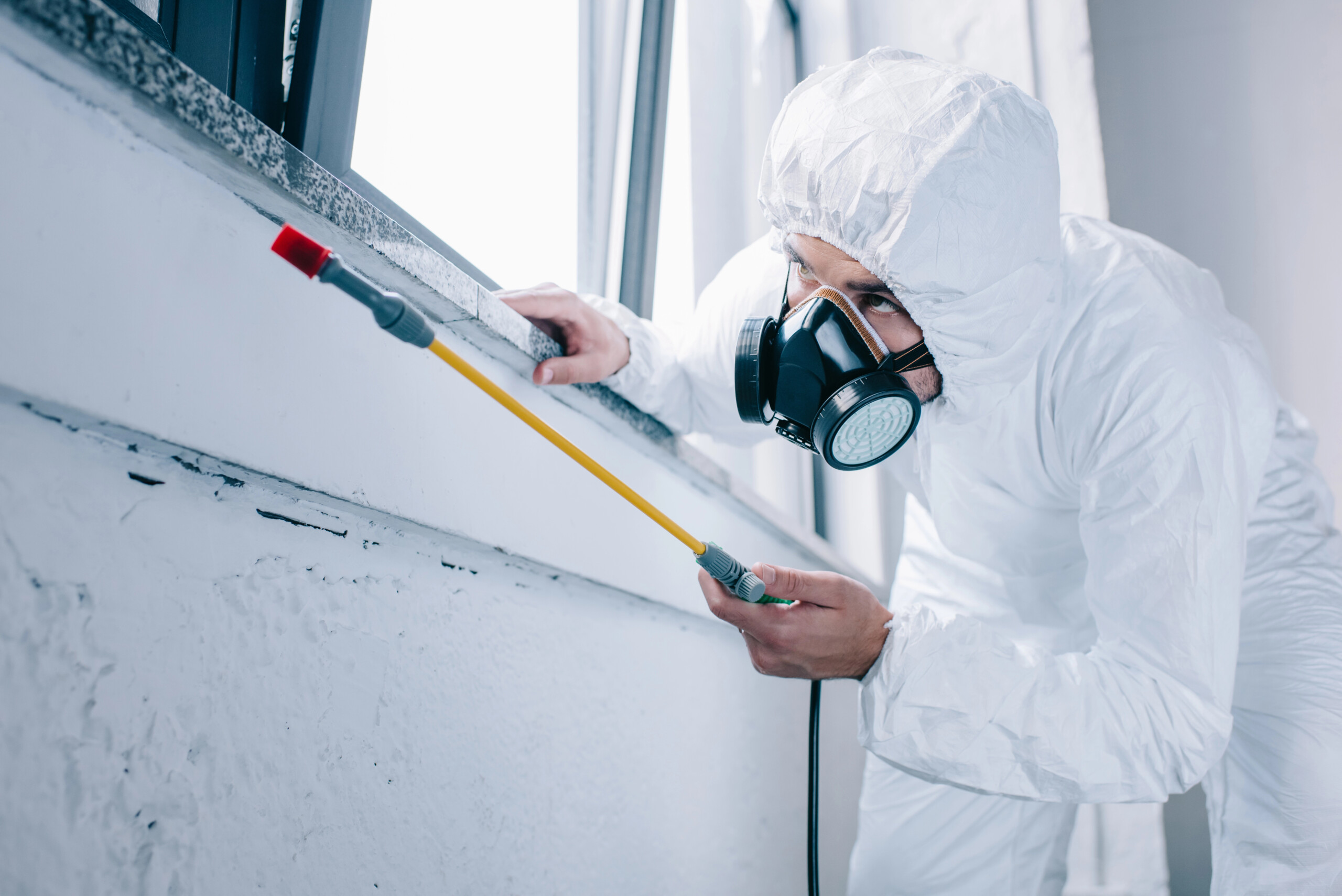 Preventive Pest Management