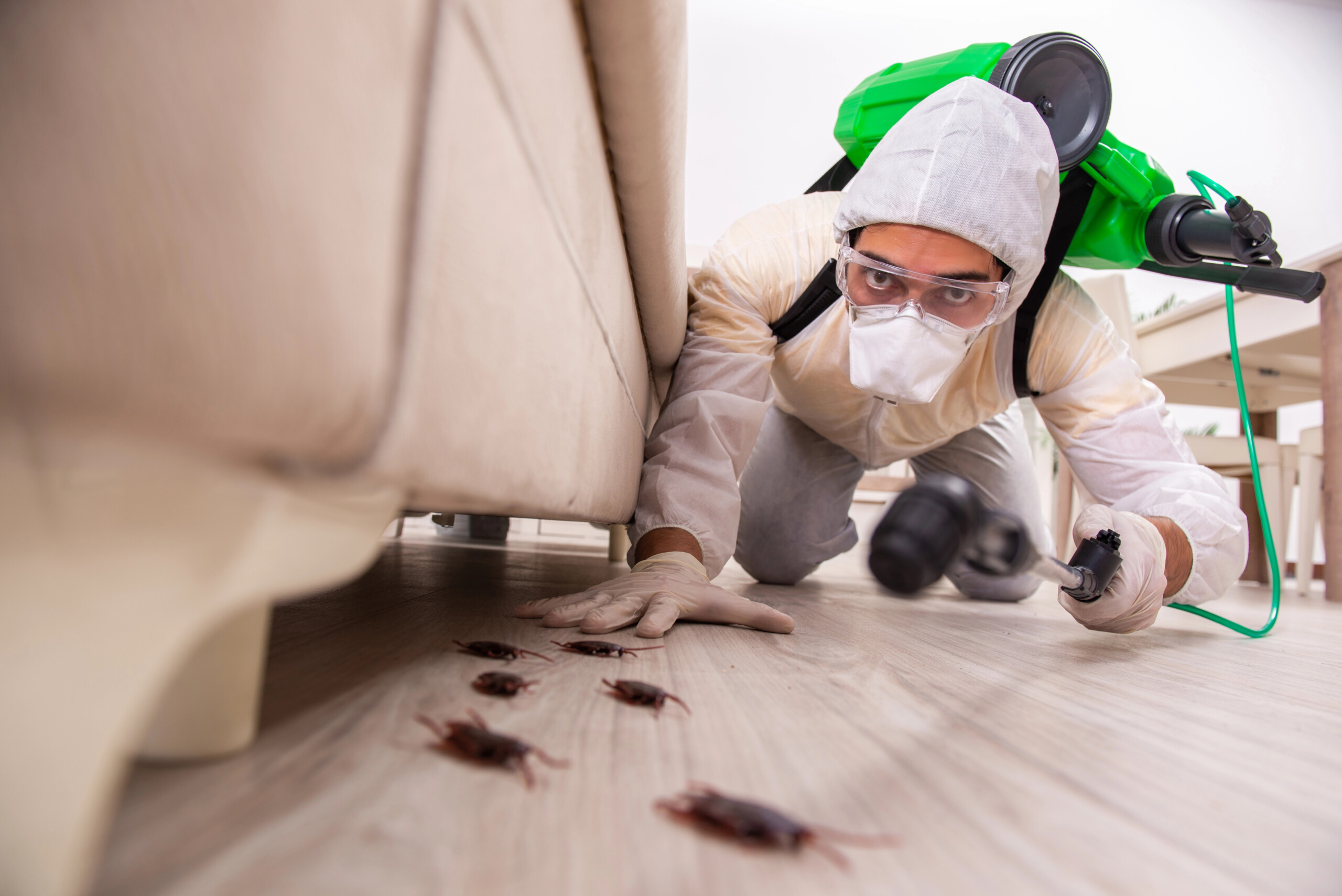 Targeted Cockroach Treatment